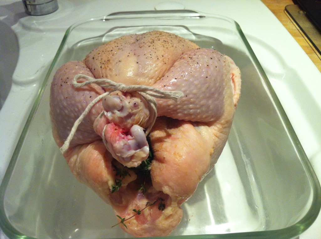 Chicken Single Tied