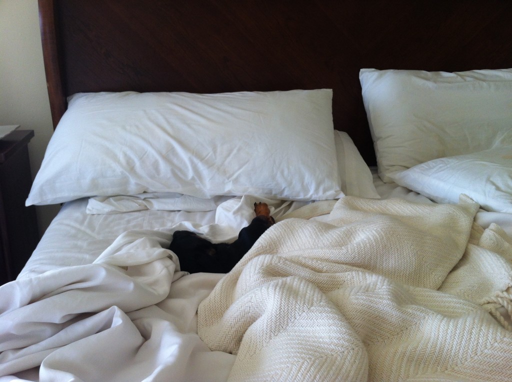 Tuffy In My Bed