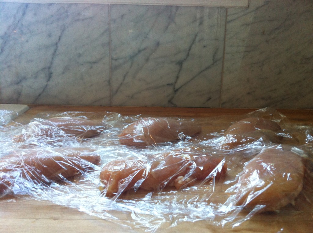 Chicken Breasts & Plastic