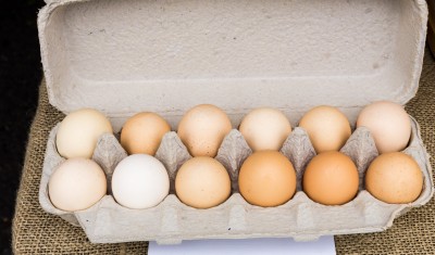 Eggs in carton