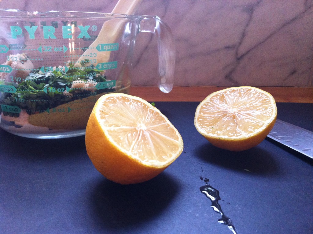 Lemons Sliced 2