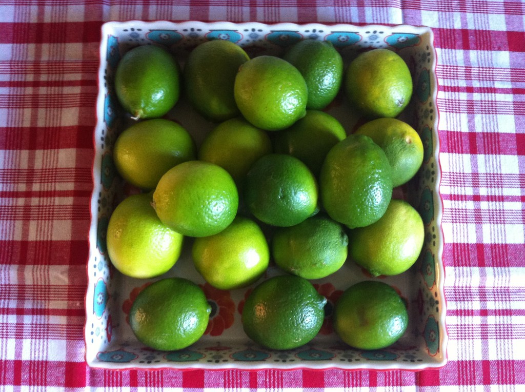 Limes Square Platter