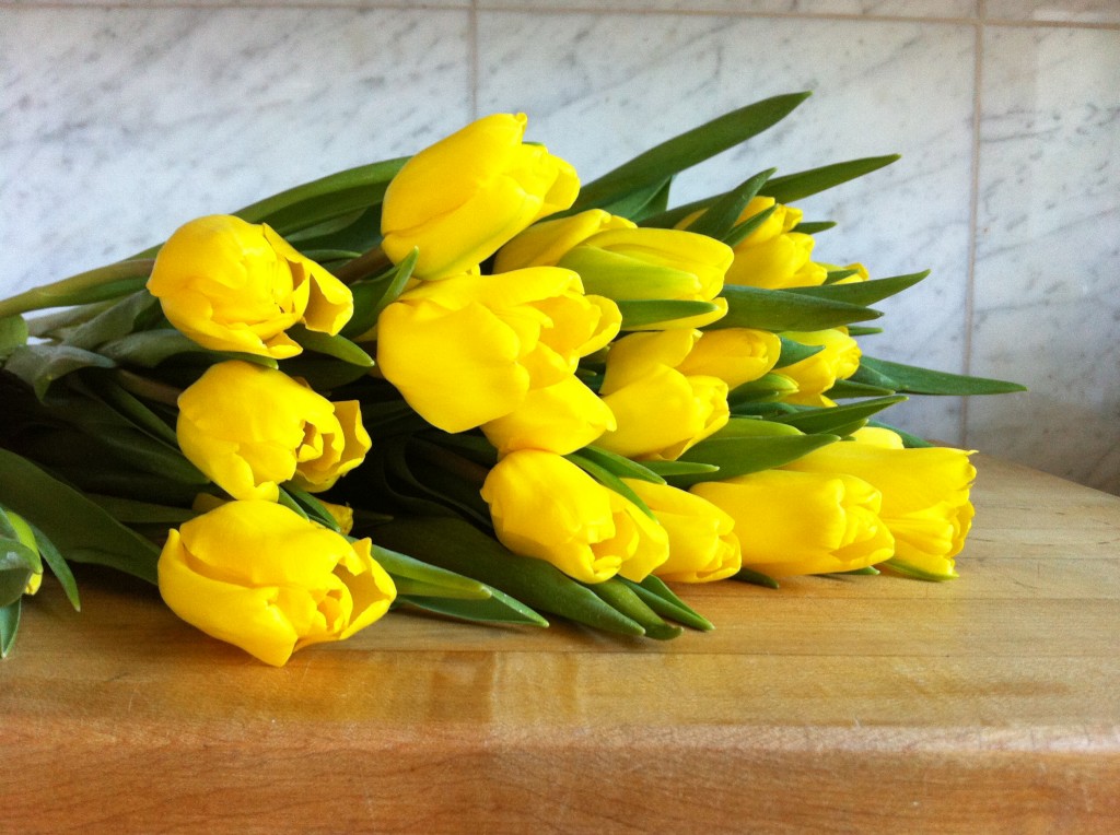 Tulips Board