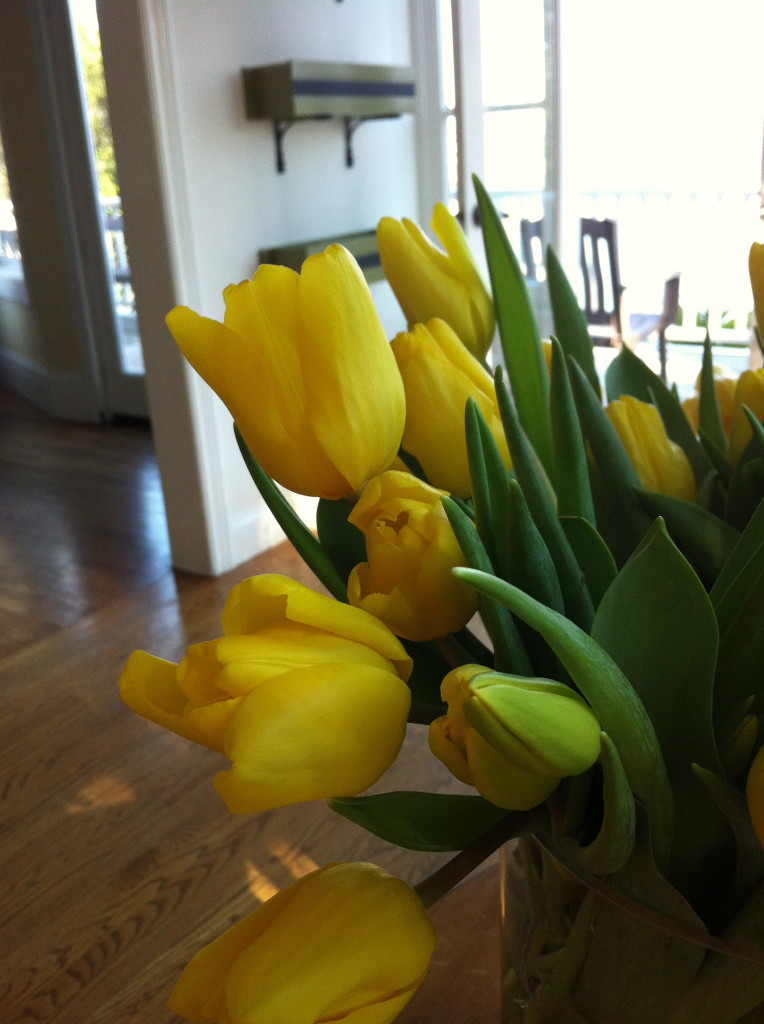 Tulips Side