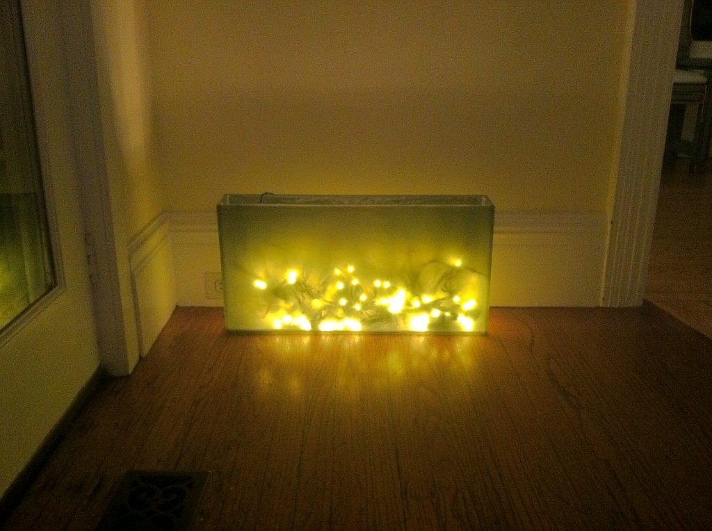 Vase & Lights