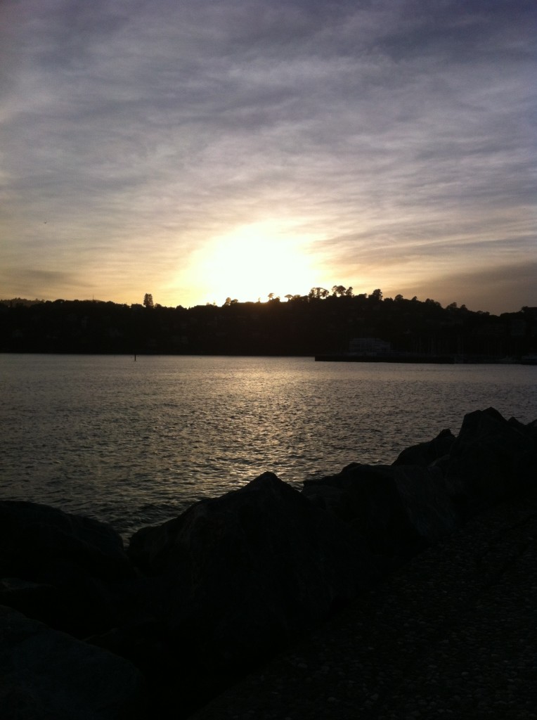 Looking back at Belvedere Island at Sunset