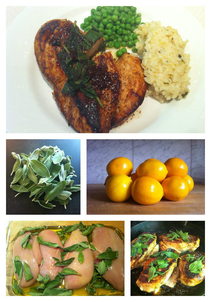 Chicken Sage Collage