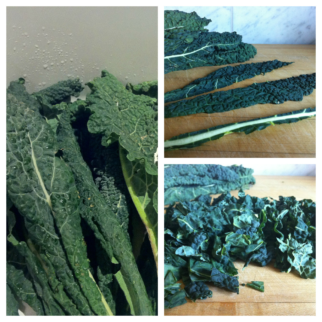 Lacinato Kale Collage