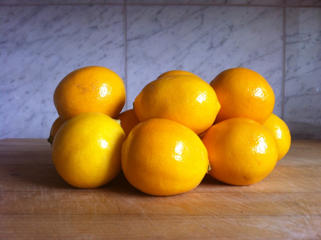 Meyer Lemons