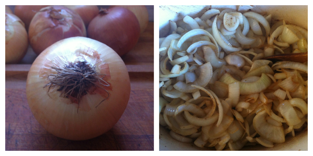 Onion Collage