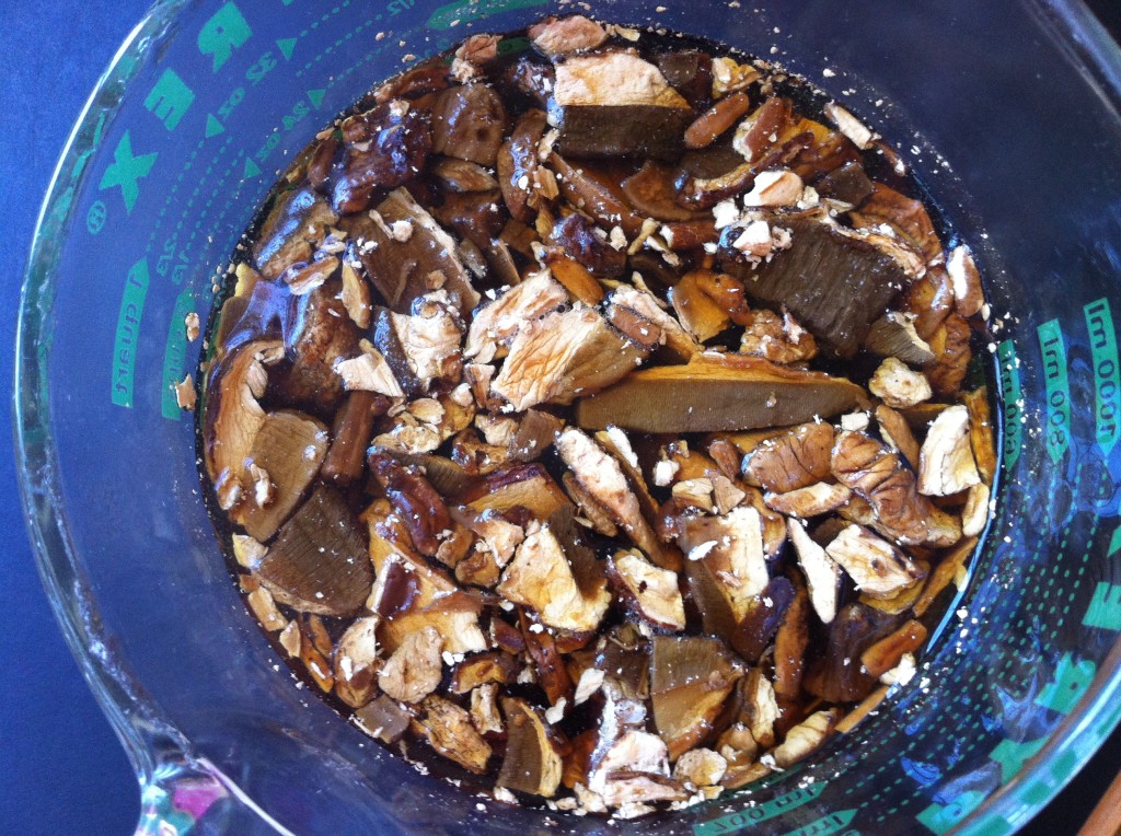 Porcini Soaking