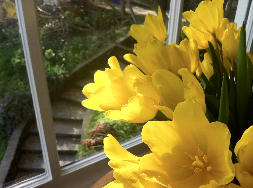 Tulips & Stairs