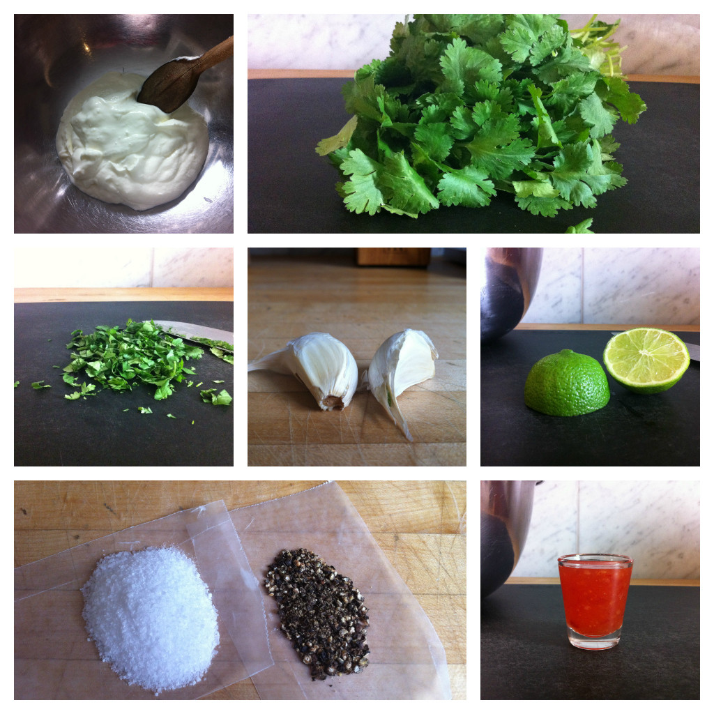 Chile Cilantro Sour Cream Collage