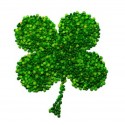 Clover Peas