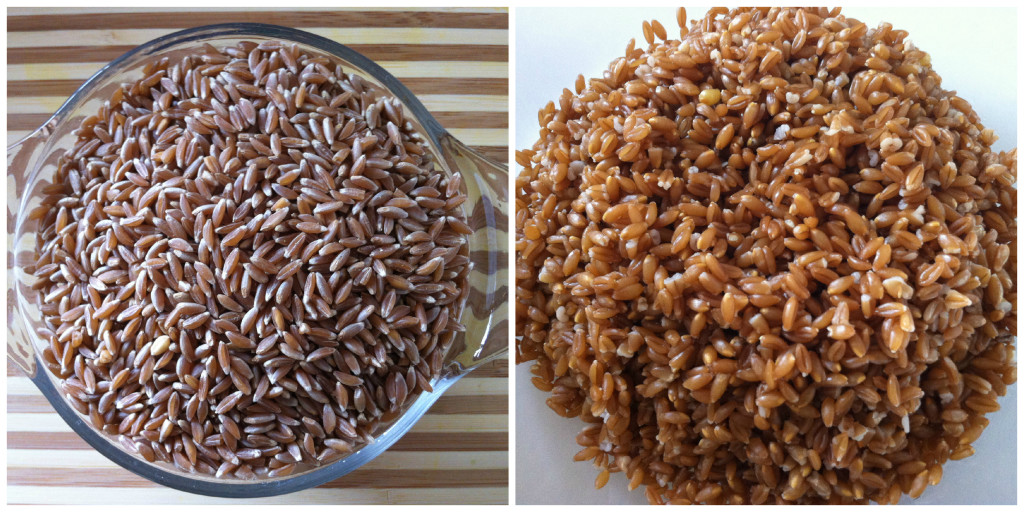 Farro 1 Collage