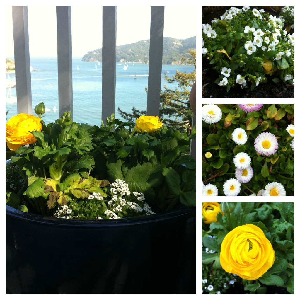 Flower Pot Collage