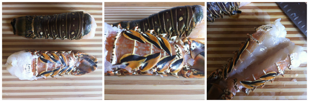 Lobster Collage