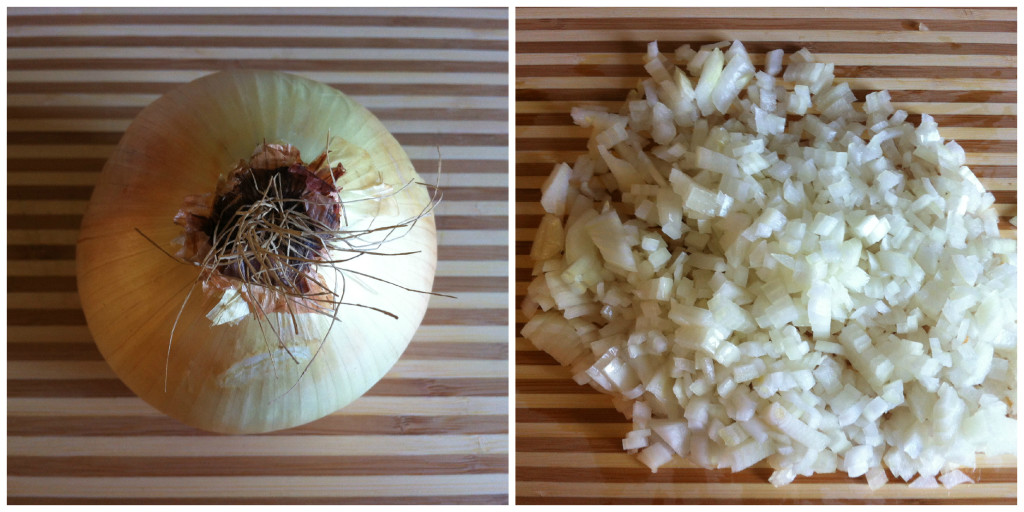 Onion Collage