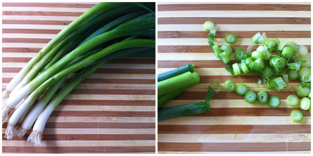 Scallion Collage