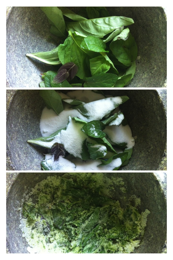 Basil Mint Crushed Posterino