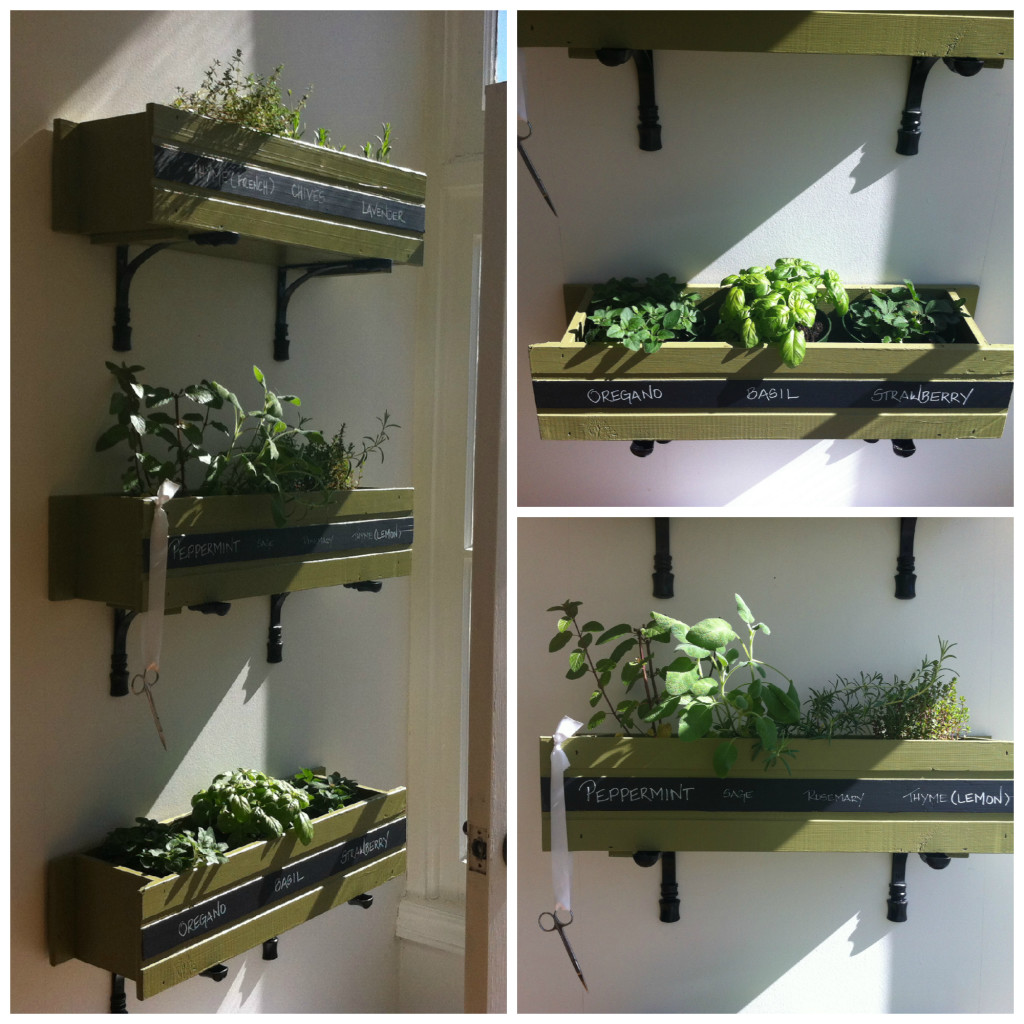 Herbs Collage
