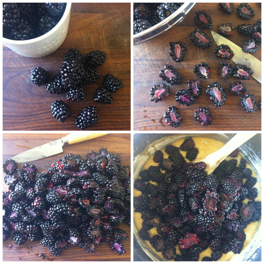 Blackberry Loaf Collage