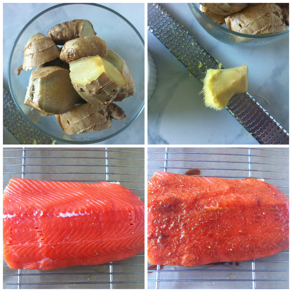 Ginger Salmon Collage
