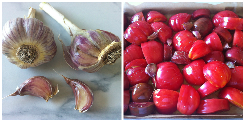 Garlic Tomatoes Collage