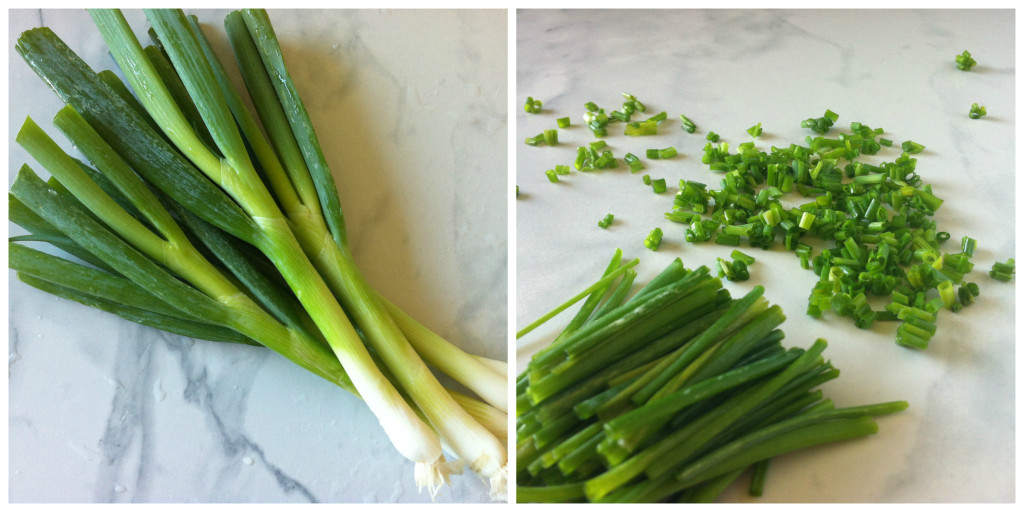 Scallions Collage