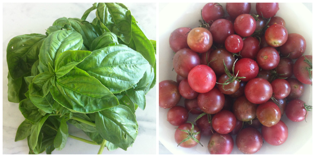 Basil Tomato Collage