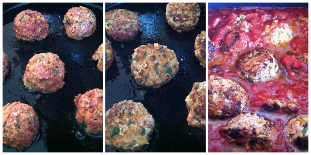 Meatball 2 Collage