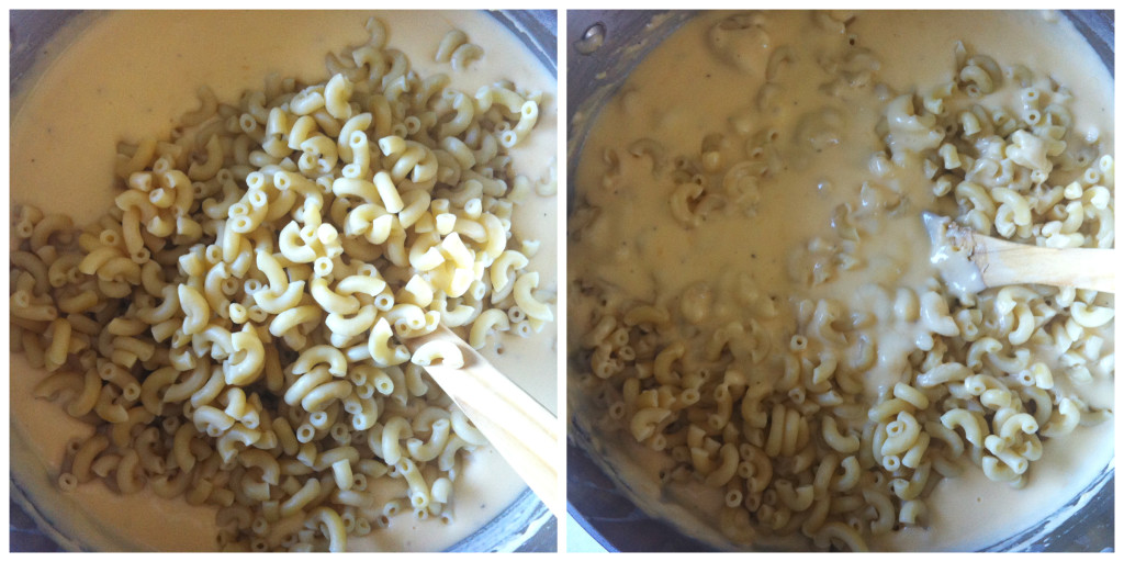 Pasta & Cheese Sauce Collage