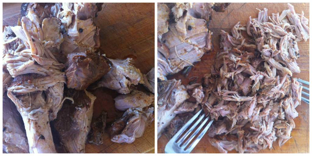 Shredded Pork Collage