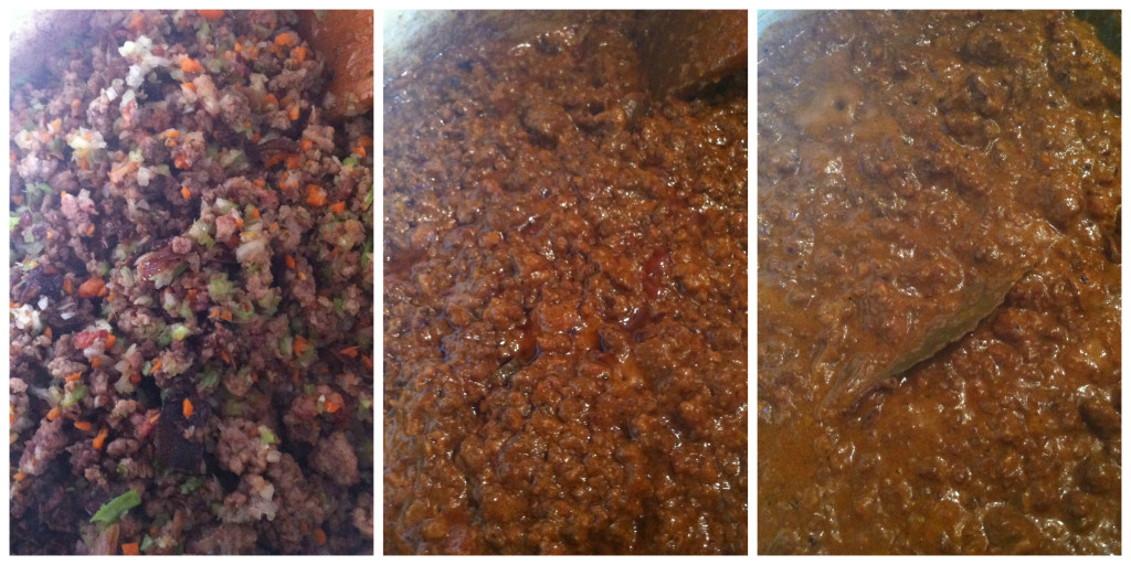 Ragu Progression Collage