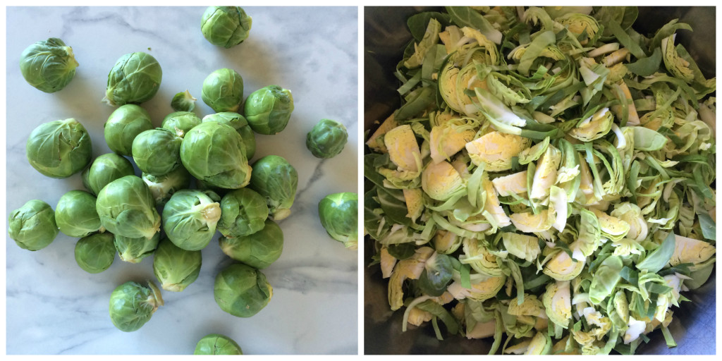 Brussels Sprouts Collage