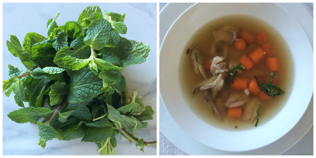 Mint Bouillon 2 Collage