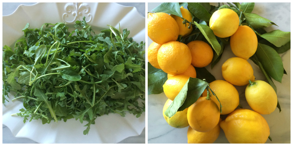 Arugula Lemon Collage