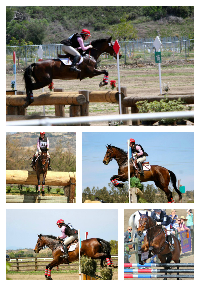 Maddie Galway Collage