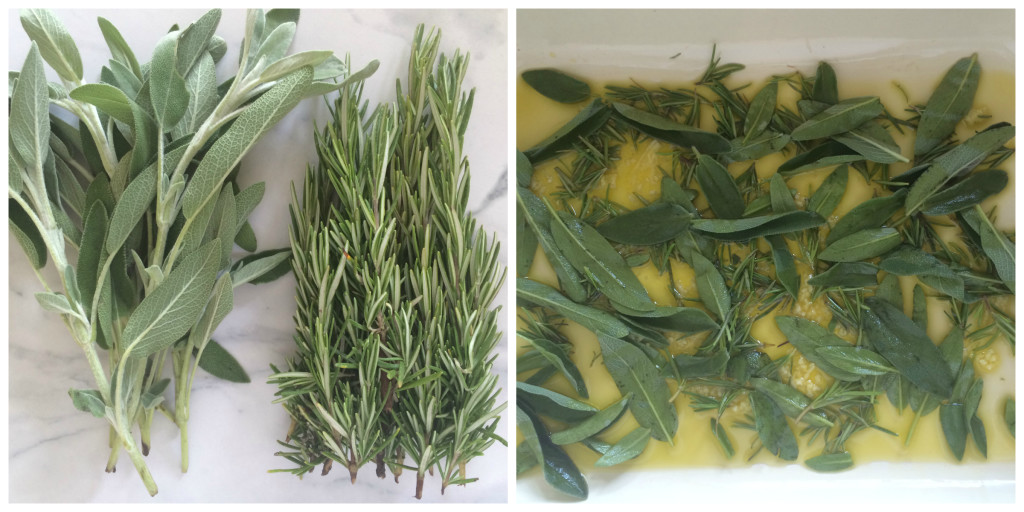 Herbs Collage