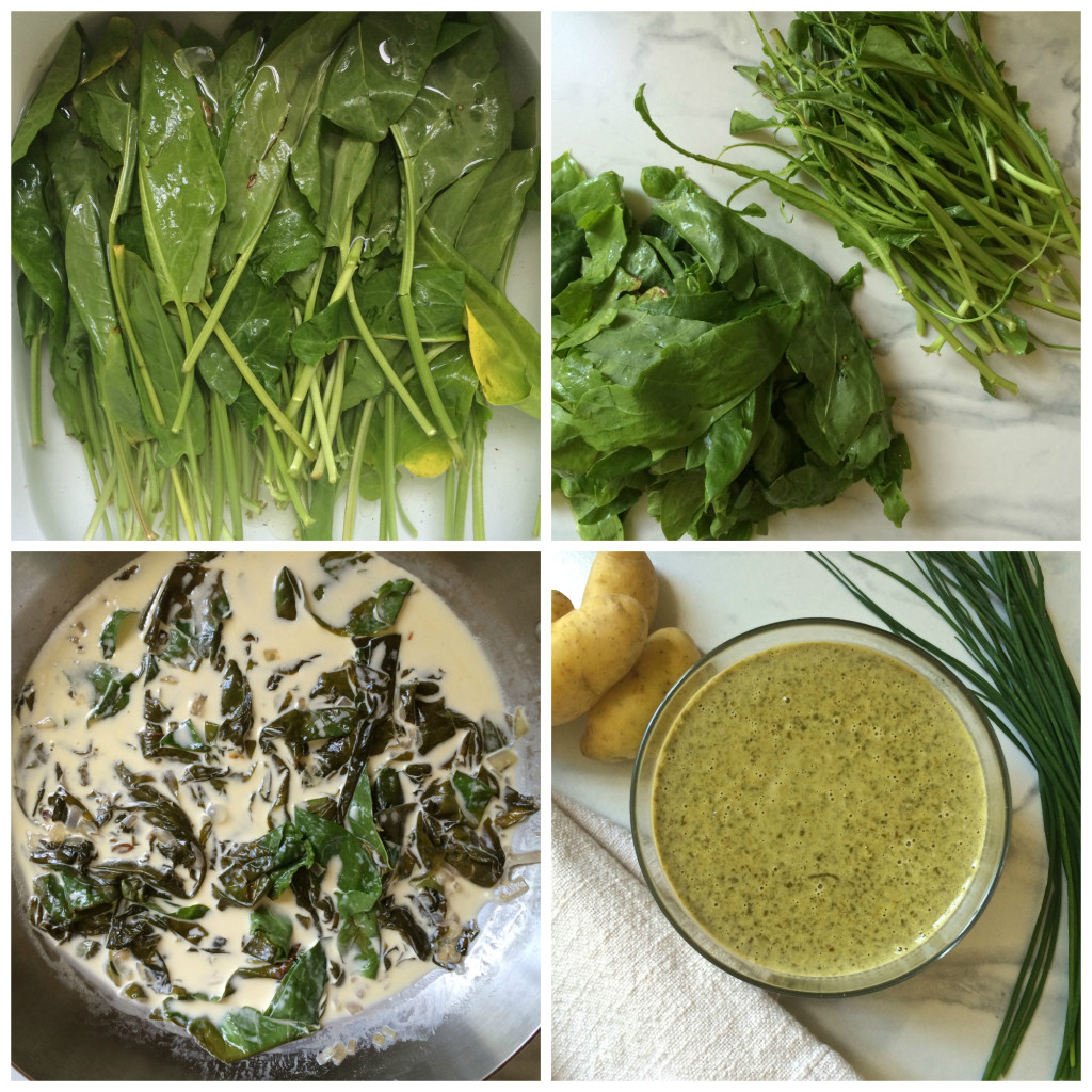 Sorrel Sauce Collage