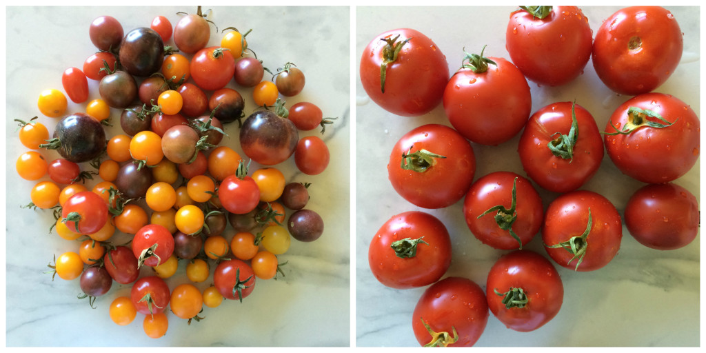 Tomato Collage